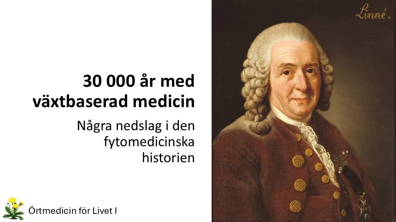 Fytomedicinens historia